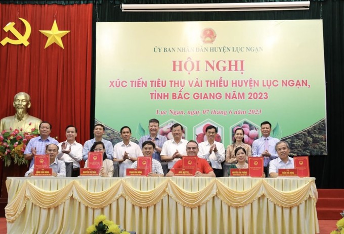 wcm-du-kien-tieu-thu-200-tan-vai-thieu-luc-ngan-1123-1686363544.jpeg