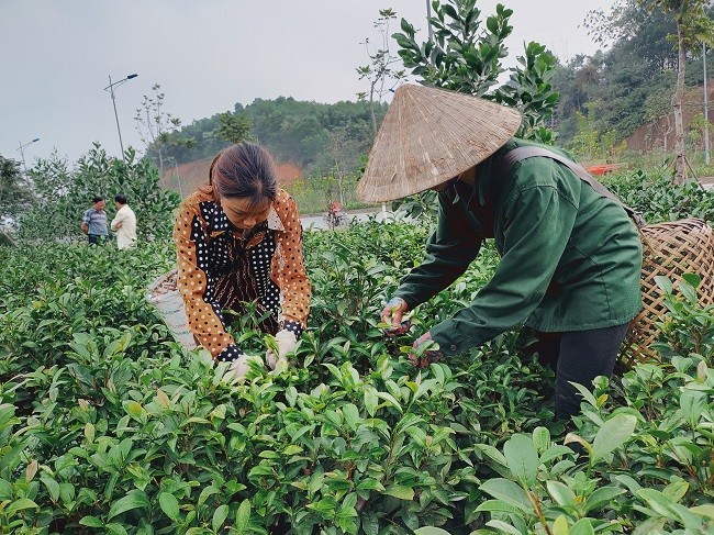 nguoi-dan-xa-bao-hung-thu-hai-che-bat-tien-1689910510-1689994038.jpeg