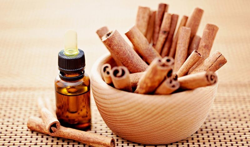 cinnamon-oil-get-rid-of-ants-1693293017-1693362570.jpeg