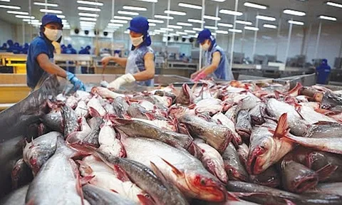 Cơ hội giao thương từ Hiệp định RCEP và thông tin tư vấn xuất khẩu thủy sản