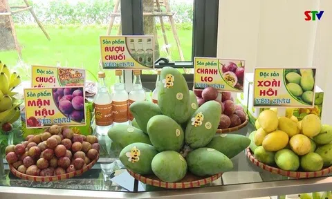 Thay da đổi thịt, Sơn La giờ là vựa trái cây lớn nhất miền Bắc