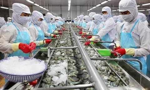 Xuất khẩu thủy sản có dấu hiệu "hụt hơi" trong quý II