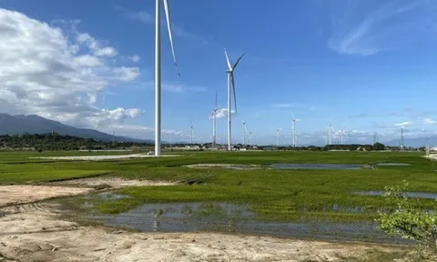 Đánh thức tiềm năng điện gió Tây Bắc