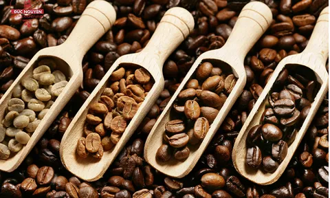 Tiêu dùng xanh ngày 15/6: Giá cà phê trong nước giảm nhẹ, Arabica tăng hơn 1,5% trên sàn thế giới