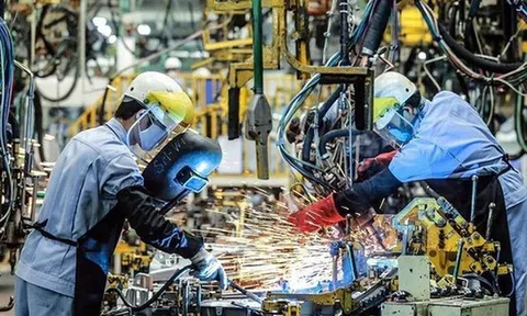 UOB nâng dự báo tăng trưởng Việt Nam cả năm lên 7,04%
