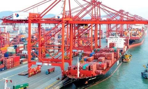 Miền Nam Việt Nam và vai trò trong chuỗi cung ứng toàn cầu