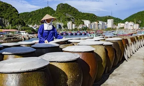 Nước mắm truyền thống Cát Hải, thực phẩm sạch dưới góc nhìn nghệ thuật ẩm thực