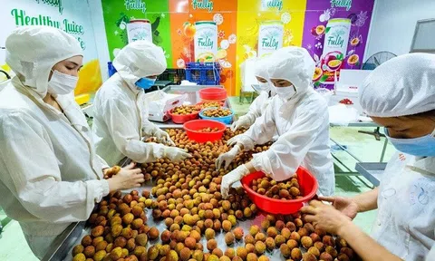 Thúc đẩy xuất khẩu nông sản Việt Nam sang thị trường Australia