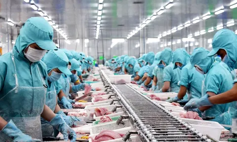 Cà Mau: Kim ngạch xuất khẩu thủy sản tăng mạnh