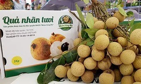 Hòa Bình: Xuất khẩu lô hàng 1 tấn nhãn tươi Sơn Thủy đầu tiên sang châu Âu