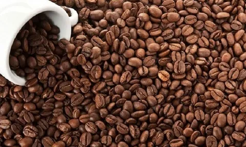 Tiêu dùng xanh ngày 19/8: Giá cà phê trong nước giảm nhẹ