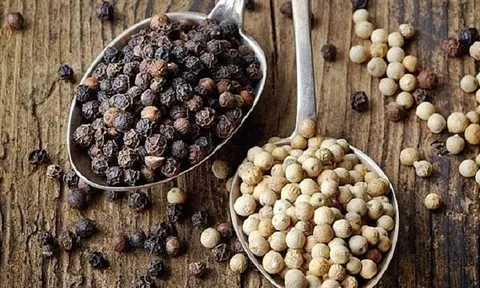 Giá tiêu hôm nay 26/8: Duy trì đà giảm ở một số địa phương