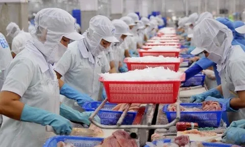 8 tháng năm 2022, xuất khẩu cá tra đạt gần 1,8 tỷ USD