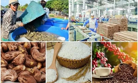 Những sản phẩm và nhóm sản phẩm có giá trị xuất khẩu trên 2 tỷ USD