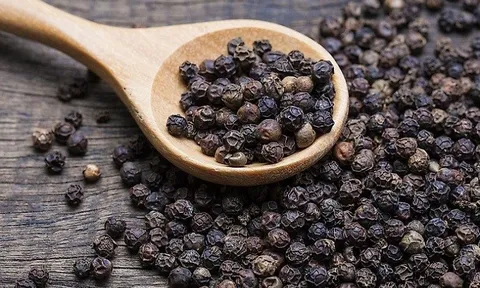 Giá tiêu hôm nay 7/9: Giá tiêu ổn định ở một số địa phương