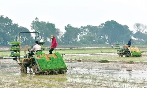 Hà Nội chú trọng thúc đẩy xuất khẩu các sản phẩm nông nghiệp chủ lực