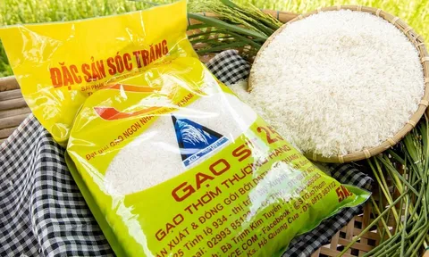 Nhãn hiệu gạo ST24 Và ST25 được bảo hộ thương hiệu tại Australia