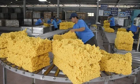 Xuất khẩu cao su 9 tháng đầu năm hơn 1,4 triệu tấn, ước đạt 2,32 tỷ USD