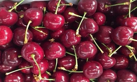Cảnh giác với những thùng Cherry Mỹ giá rẻ bán tràn lan