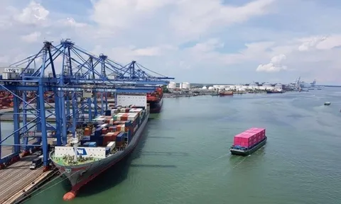 Chính thức giảm 20% nhiều loại phí, lệ phí hàng hải