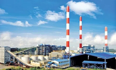 Xây dựng và vận hành thị trường carbon ở Việt Nam