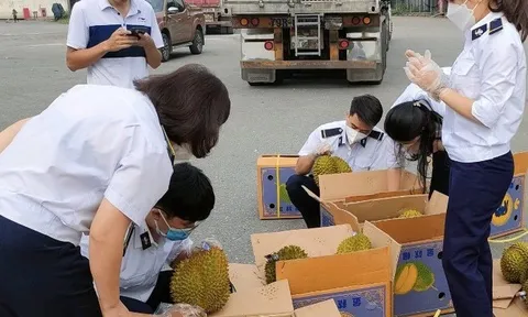 Xuất khẩu chính ngạch lô sầu riêng đầu tiên qua Cửa khẩu Kim Thành