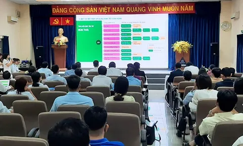 Sản xuất, tiêu dùng bền vững và hoạt động thúc đẩy kinh tế tuần hoàn trong các ngành công nghiệp