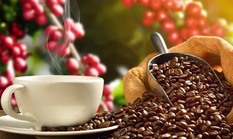 Tiêu dùng xanh ngày 27/10: Giá cà phê trong nước giảm mạnh