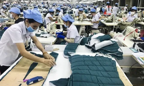 Nghệ An: Hơn 50 doanh nghiệp xuất khẩu sản phẩm sang thị trường Hàn Quốc