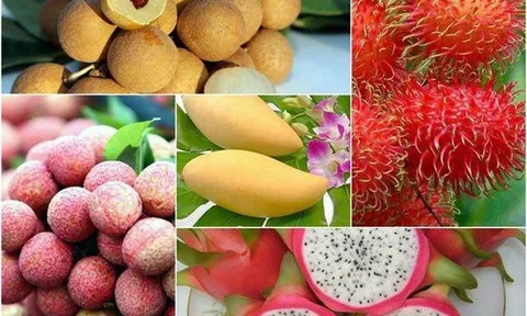 14 loại cây ăn trái chủ lực được tập trung phát triển đến năm 2025 và 2030