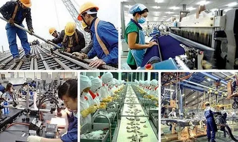 Nhiều doanh nghiệp Việt chưa chú trọng đầu tư cho nguồn nhân lực