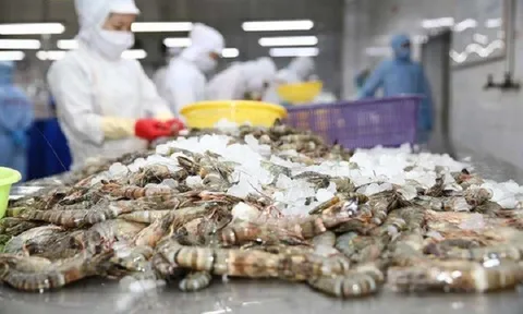 Dư địa và tiềm năng thị trường châu Mỹ còn rất rộng mở đối với doanh nghiệp Việt