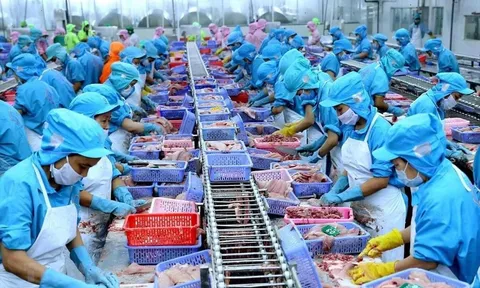10 tháng năm 2022, tổng kim ngạch xuất nhập khẩu nông, lâm, thủy sản đạt khoảng 82,1 tỷ USD