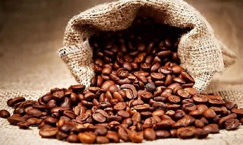 Tiêu dùng xanh ngày 2/11: Giá cà phê trong nước tăng 100 đồng/kg tại một số vùng thu mua trọng điểm