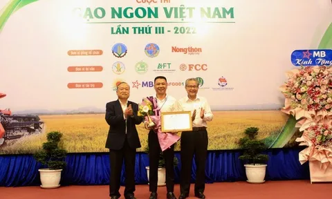 Gạo ST25 mất ngôi số 1 Việt Nam