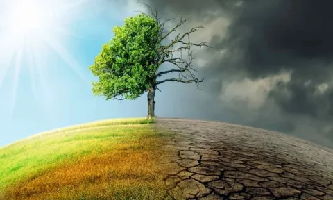 Hội nghị COP 27: Các quốc gia cùng nỗ lực ứng phó với biến đổi khí hậu