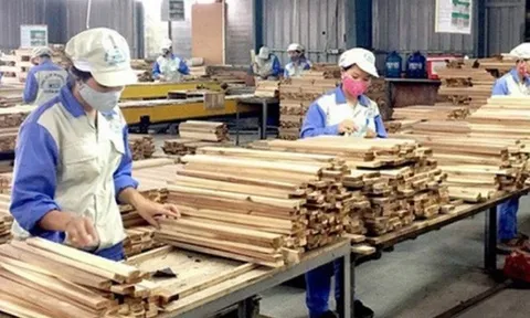 Nhập khẩu gỗ của châu Phi vào Việt Nam ngày càng tăng