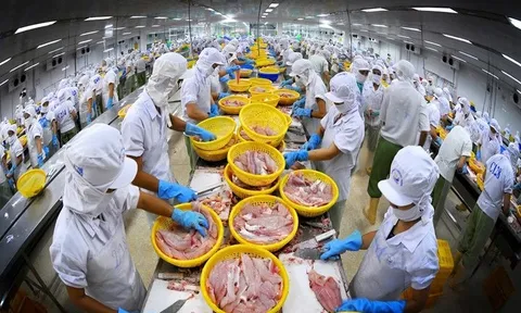 Xuất khẩu thủy sản Việt Nam bứt phá, vượt mục tiêu và lập nhiều kỷ lục