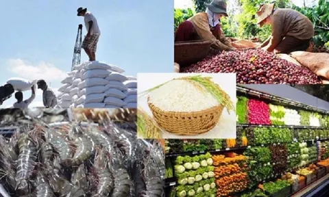 Nhiều lĩnh vực tiềm năng ở Tây Nguyên thu hút các Doanh nghiệp châu Âu
