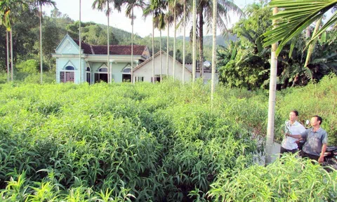 Yên Thành (Nghệ An) tổ chức Lễ công bố Làng nghề trồng cây đào phai xã Kim Thành