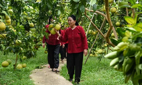Điểm đến bốn mùa cho du lịch miệt vườn tại vùng đất Bắc