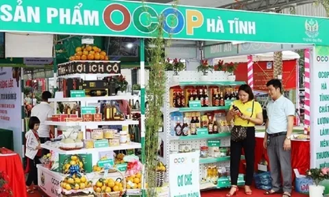 Hà Tĩnh: Nhiều sản phẩm OCOP, sản phẩm công nghiệp nông thôn tiêu biểu đã tham gia các hội chợ