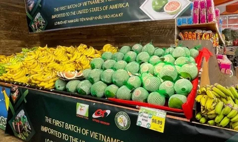Người Việt tại Mỹ hào hứng mua bưởi da xanh Việt Nam