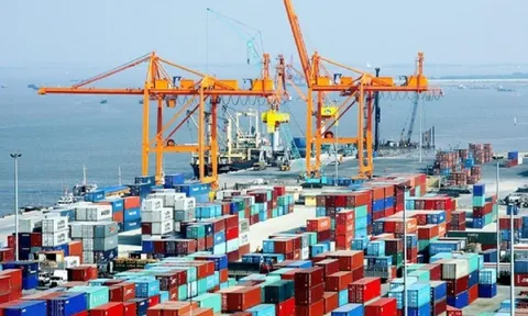 Lùi thời gian áp dụng Danh mục mới về hàng hoá xuất nhập khẩu Việt Nam