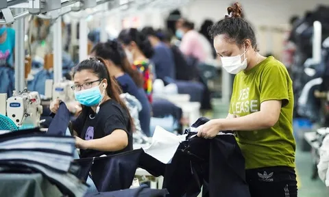 Thủ tướng: Yêu cầu doanh nghiệp thanh toán đầy đủ tiền lương, tiền thưởng cho người lao động trong dịp tết