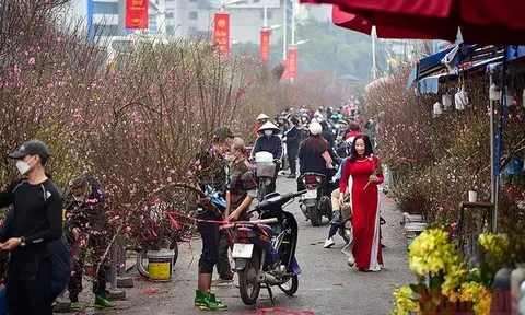 Hà Nội sẽ tổ chức 91 điểm chợ hoa phục vụ Tết Nguyên đán Quý Mão 2023