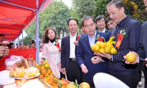 Khai mạc Phiên chợ cam Hưng Yên năm 2022