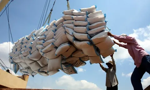 Xuất khẩu gạo chuẩn bị cán đích 7 triệu tấn