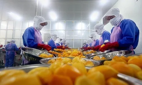 Xuất khẩu rau quả có thể đạt 3,4 tỷ USD trong 2022