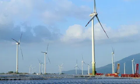 Nguồn điện gió đạt công suất 3.386MW, cao nhất từ trước đến nay